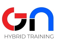 Hybrid Training